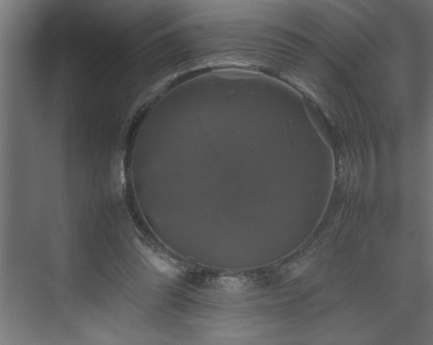 X0000074030302200608211459