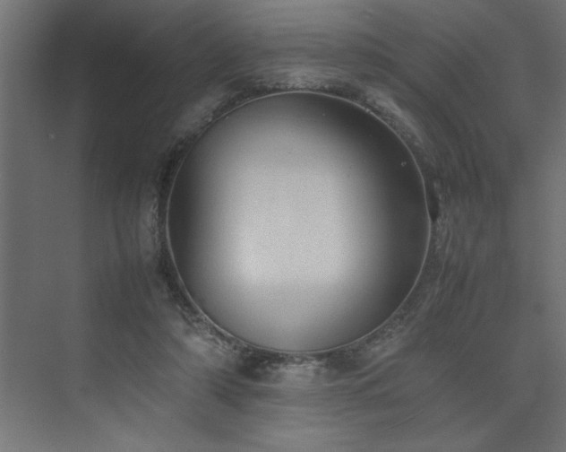X0000074030306200608211459