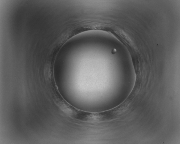 X0000074030313200608211459