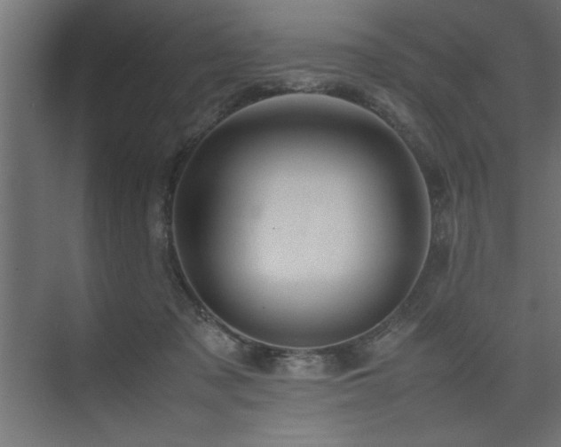 X0000074030317200608211459