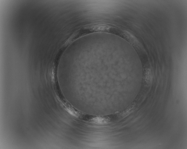 X0000074030326200608211459