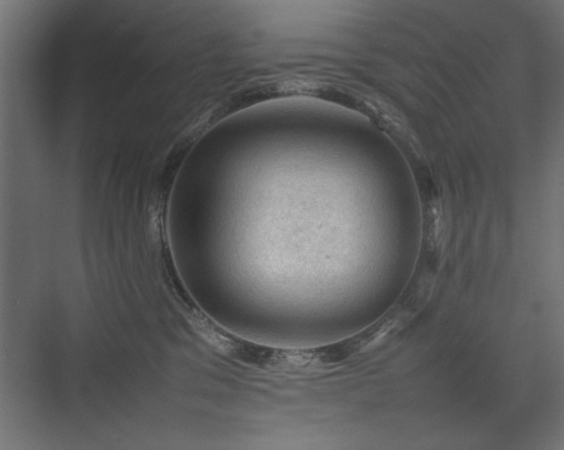 X0000074030329200608211459