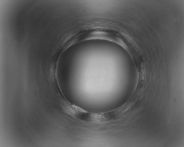 X0000074030333200608211459