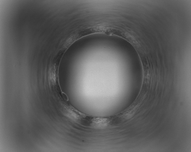 X0000074030334200608211459