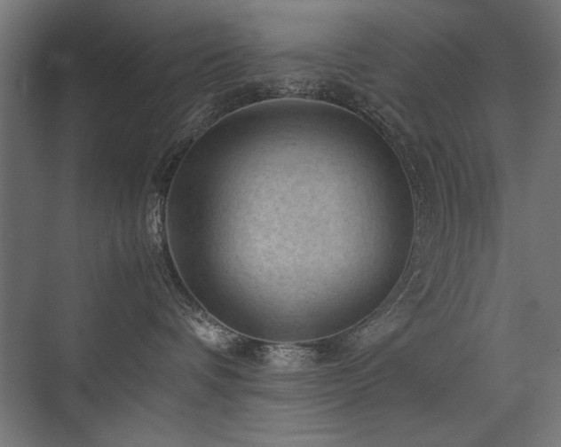 X0000074030336200608211459
