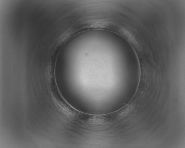 X0000074030354200608211458