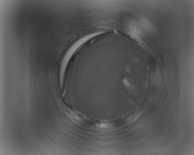 X0000074030365200608211458