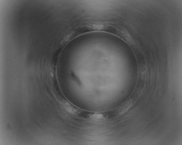 X0000074030374200608211459