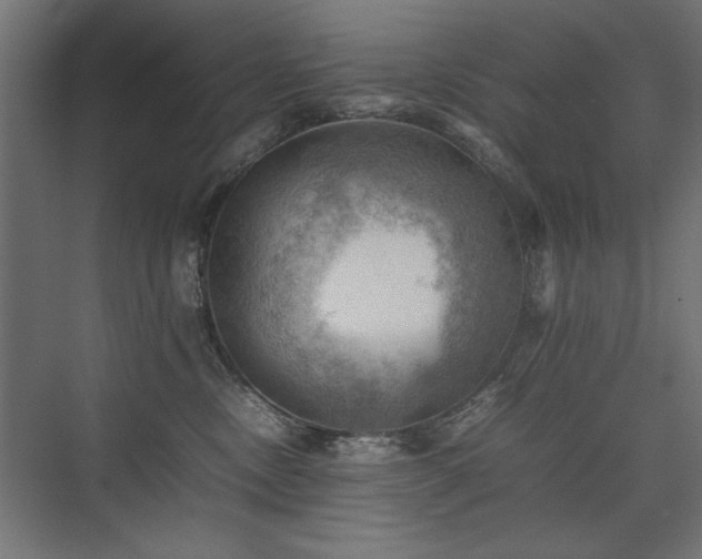 X0000074030378200608211459