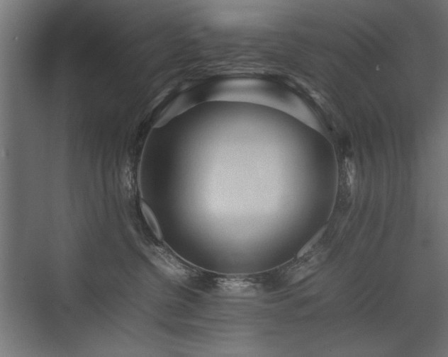 X0000074030380200608211459