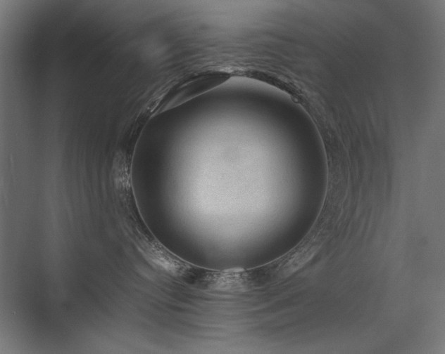 X0000074030384200608211459