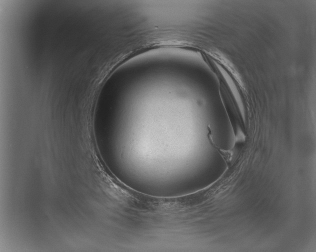 X0000074030385200608211458