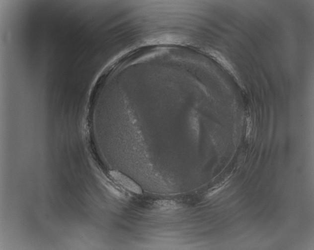 X0000074030392200608211458