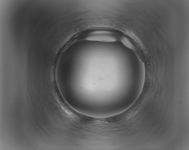 X0000074030393200608211458