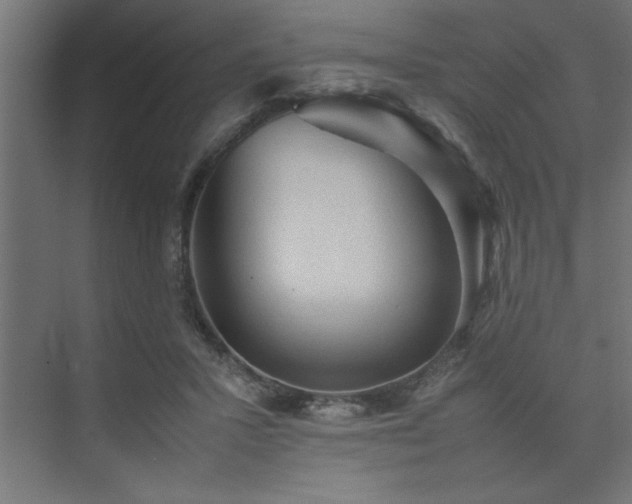 X0000074030407200608211457