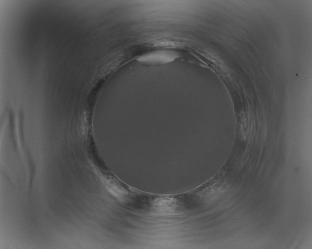 X0000074030410200608211457
