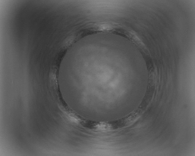 X0000074030415200608211457