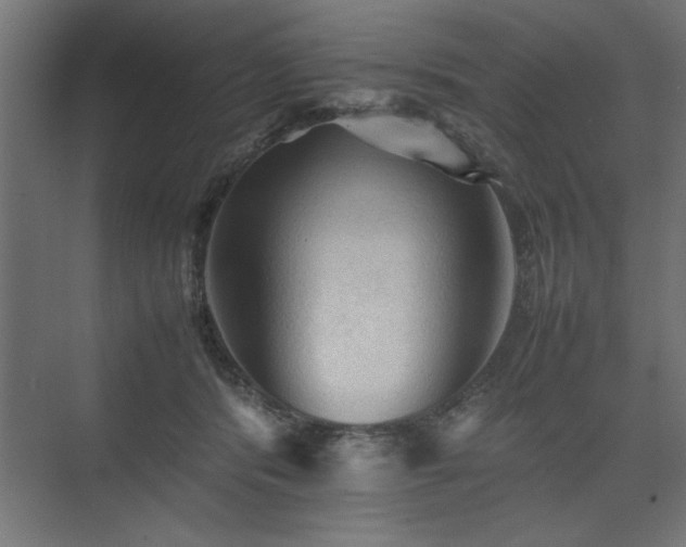 X0000074030416200608211457