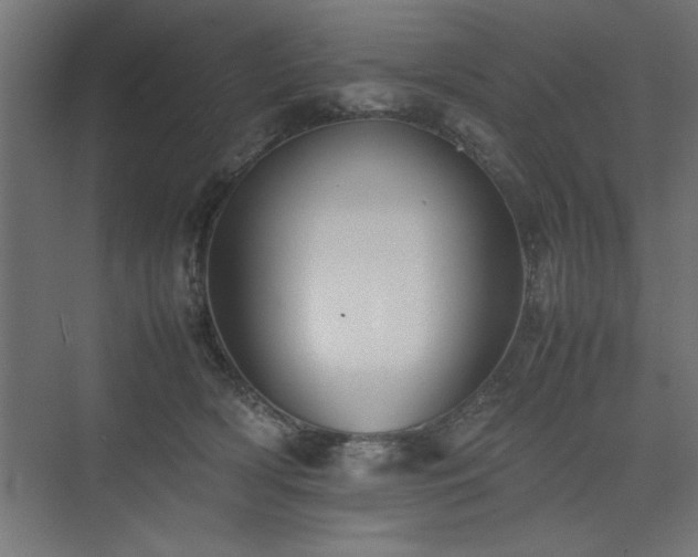 X0000074030418200608211457