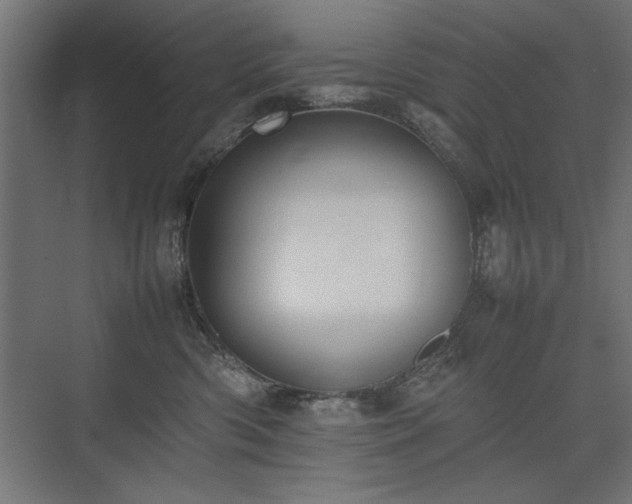 X0000074030426200608211457