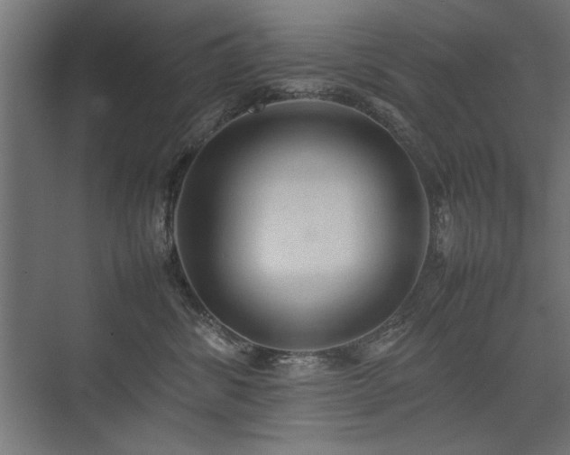 X0000074030428200608211457