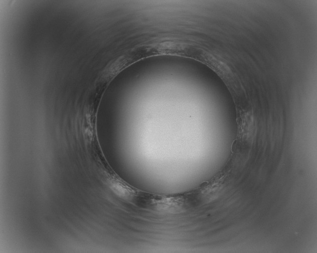 X0000074030430200608211457