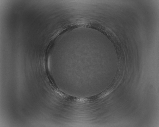 X0000074030432200608211457
