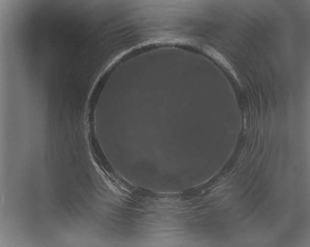 X0000074030436200608211456
