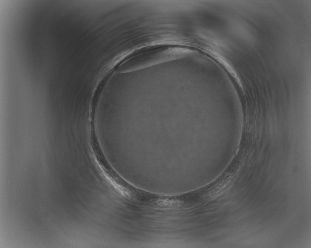 X0000074030437200608211456
