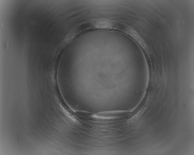 X0000074030441200608211456