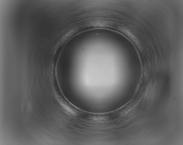 X0000074030445200608211456