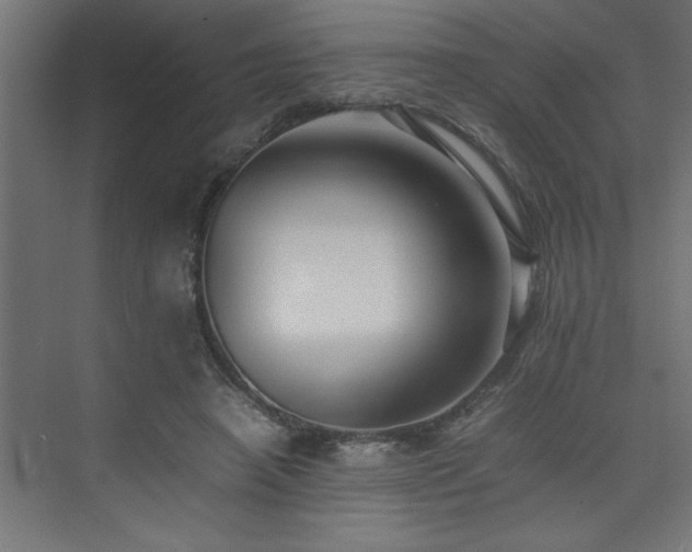 X0000074030450200608211457