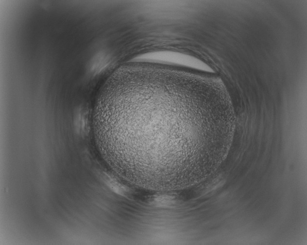 X0000074030462200608211457