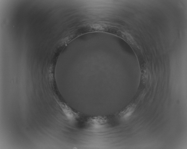 X0000074030466200608211457
