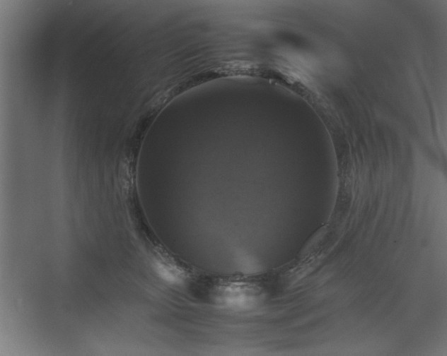 X0000074030467200608211457