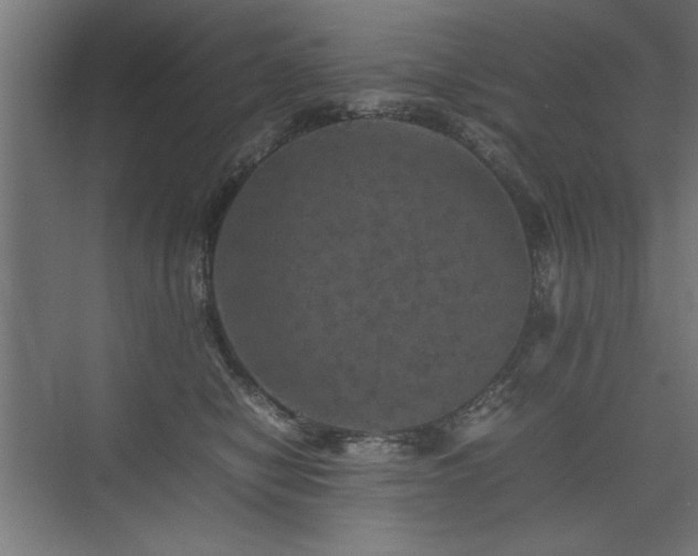 X0000074030470200608211457