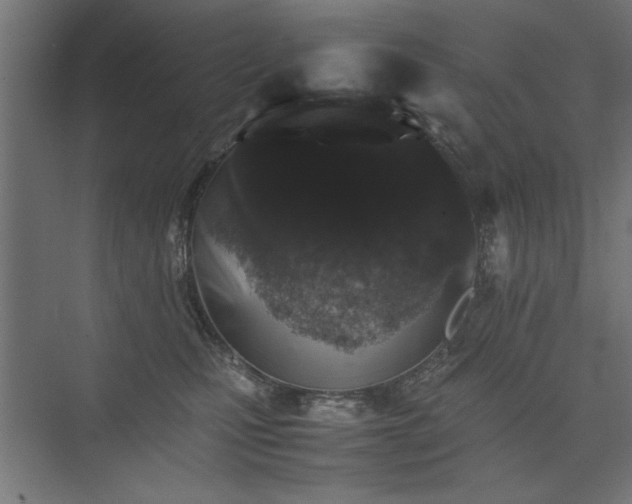 X0000074030471200608211457