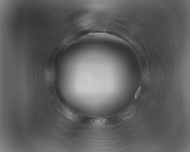 X0000074030474200608211457