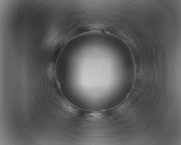 X0000074030478200608211457