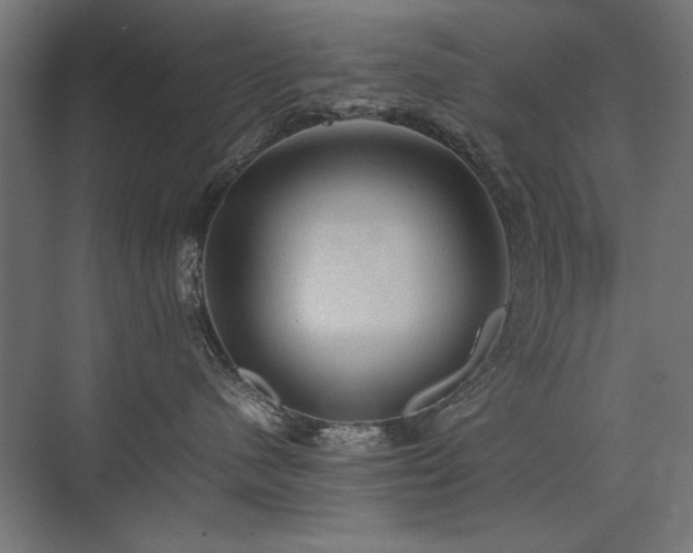 X0000074030480200608211457