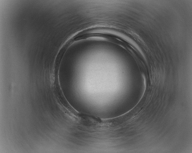 X0000074030484200608211456
