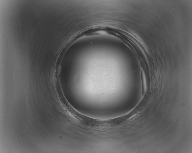 X0000074030485200608211456
