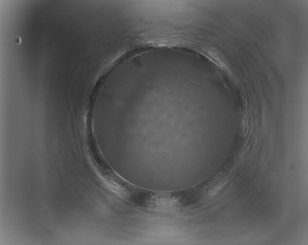 X0000074030491200608211456