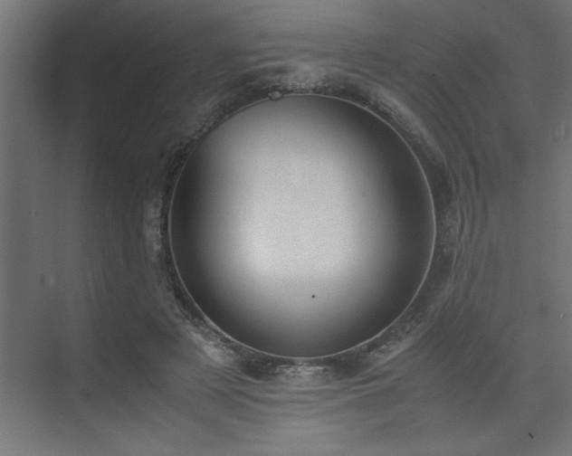 X0000074030497200608211456
