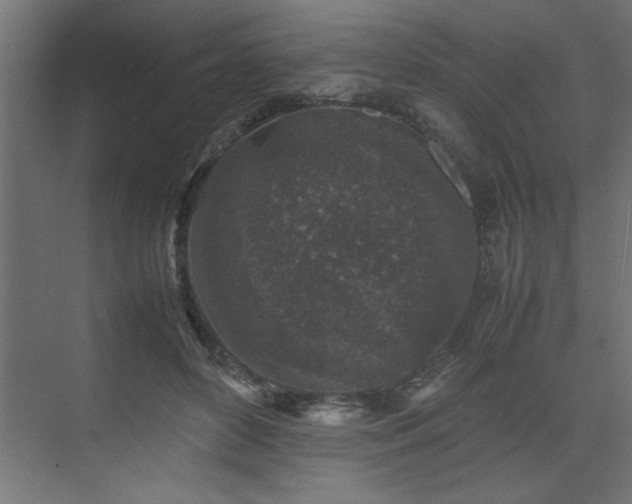 X0000074030504200608211456