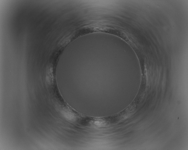 X0000074030506200608211456