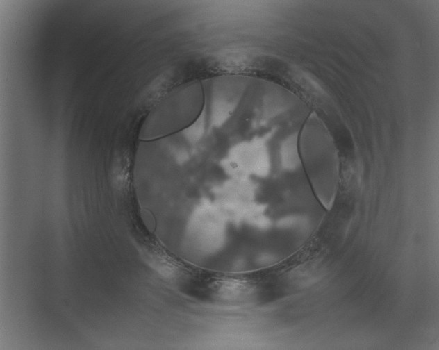 X0000074030507200608211456