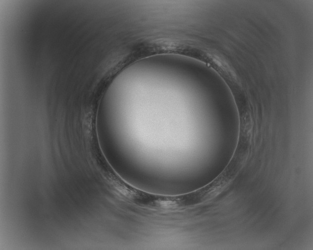 X0000074030509200608211456