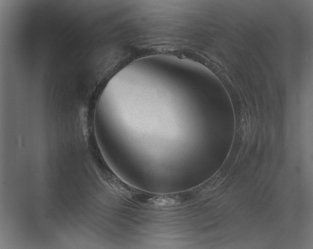 X0000074030512200608211456