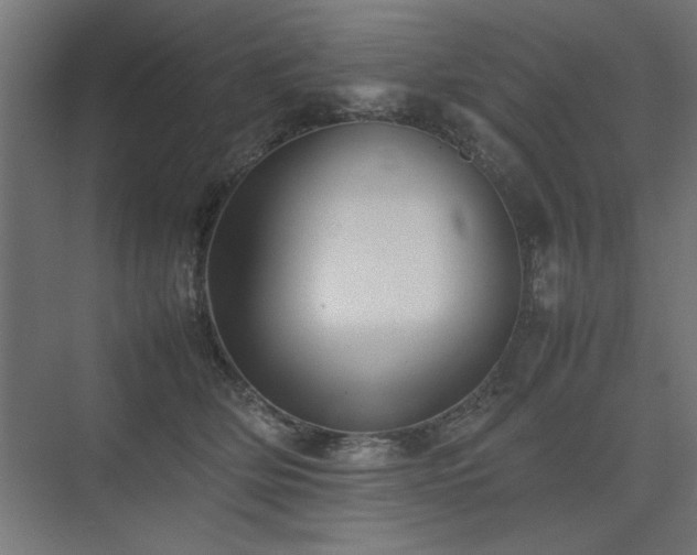 X0000074030514200608211456